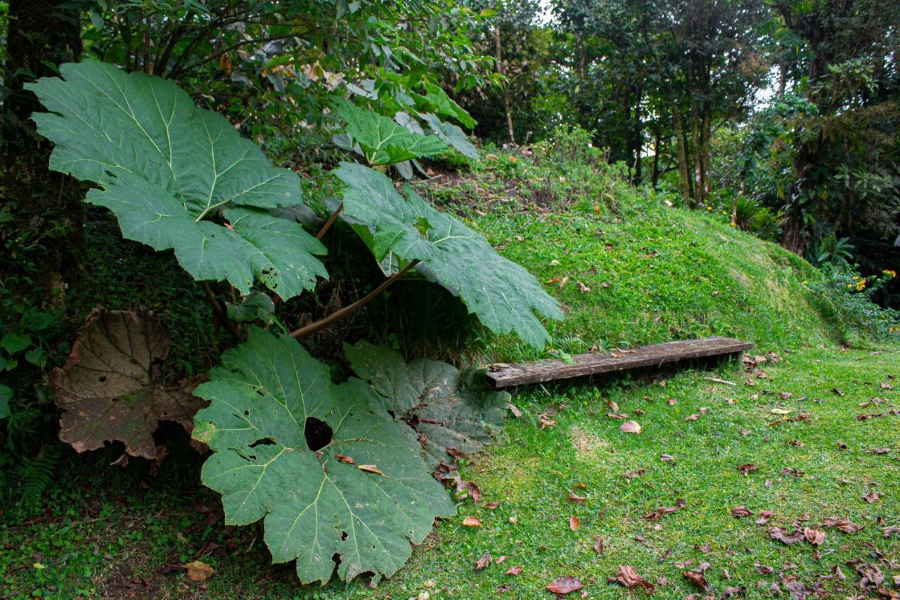 Burbi Lake Lodge Monteverde 외부 사진
