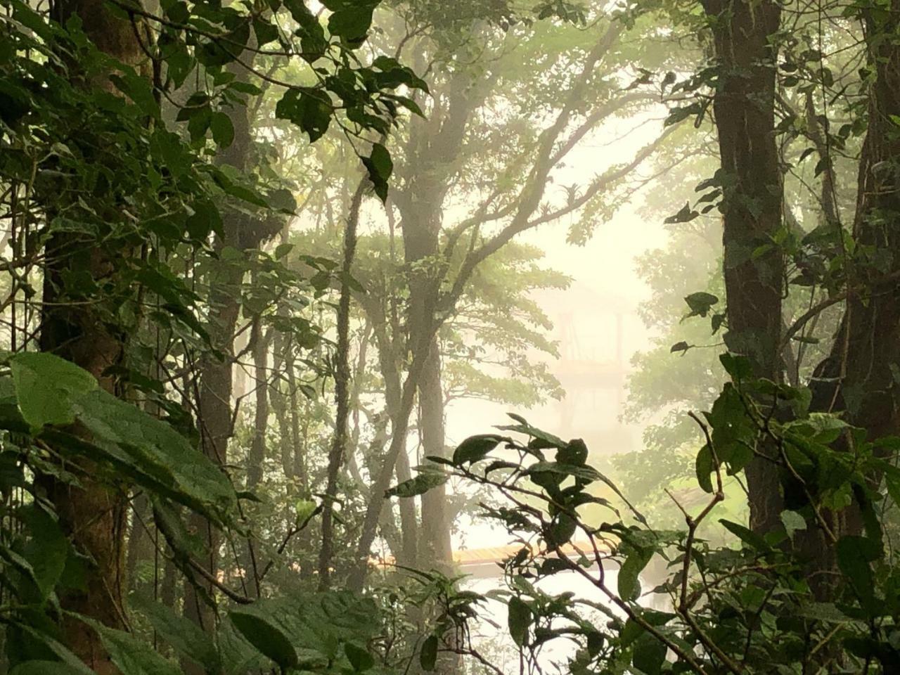 Burbi Lake Lodge Monteverde 외부 사진