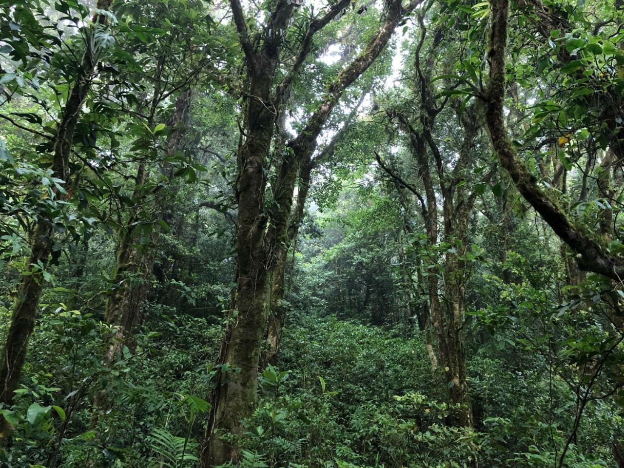 Burbi Lake Lodge Monteverde 외부 사진