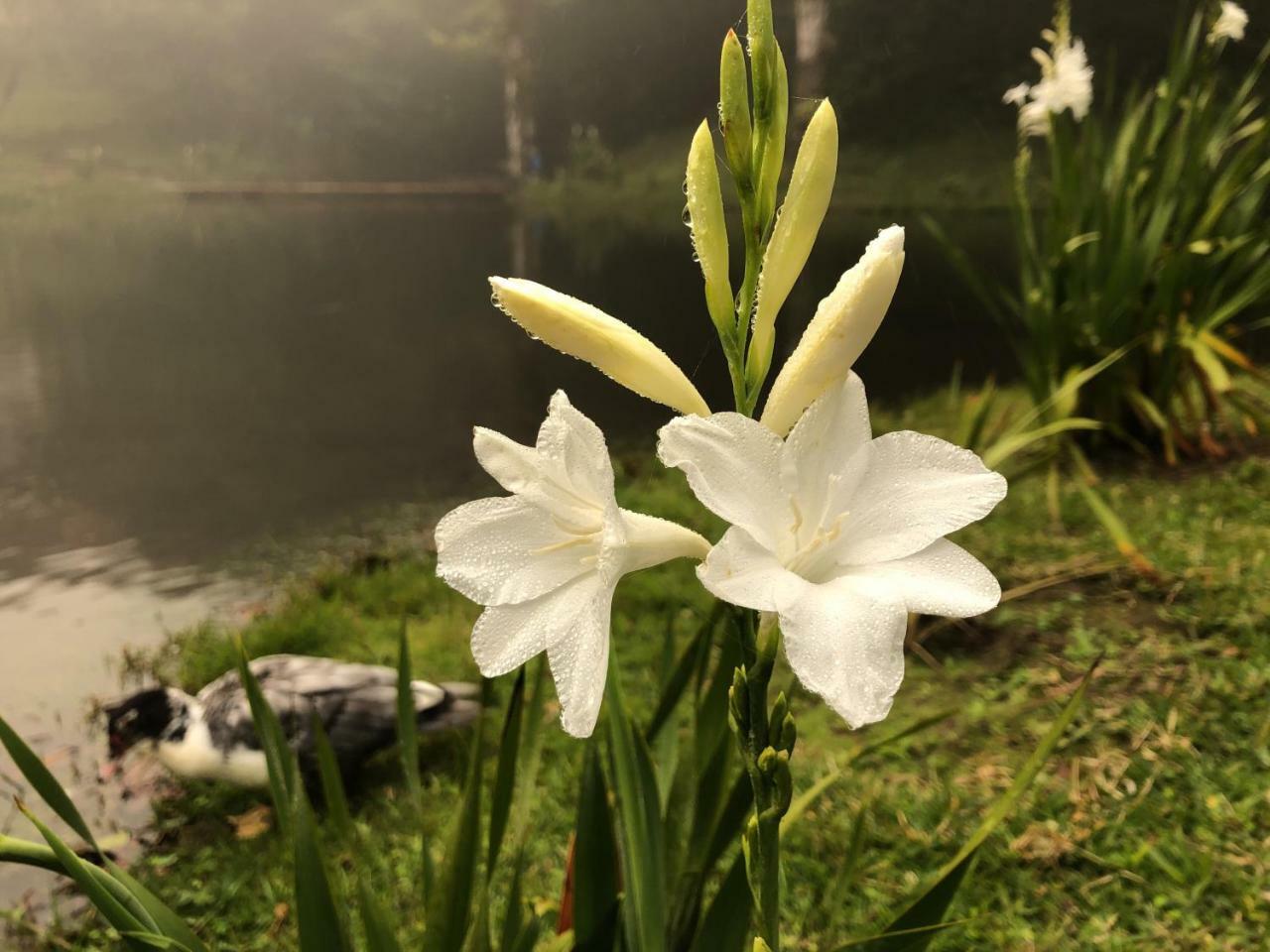 Burbi Lake Lodge Monteverde 외부 사진