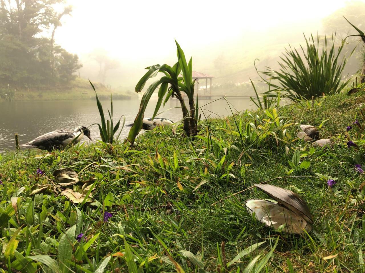 Burbi Lake Lodge Monteverde 외부 사진
