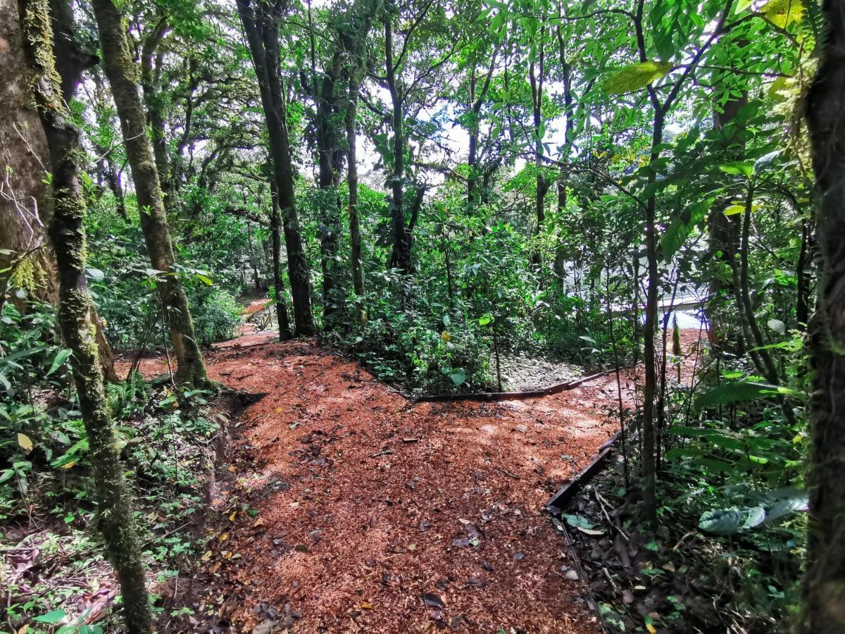 Burbi Lake Lodge Monteverde 외부 사진